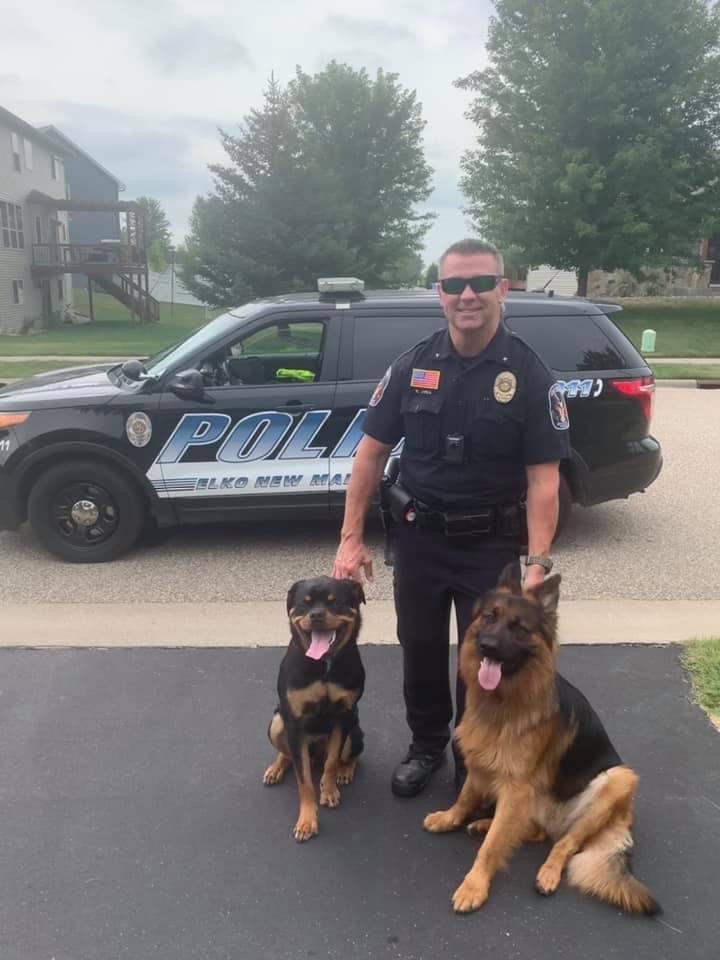 Dog boarding at North Star Family K-9 Minneapolis