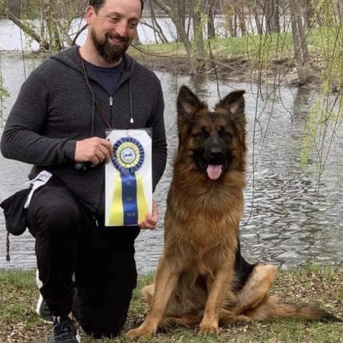 Rumi, long-haired German Shepherd therapy dog at North Star Family K-9